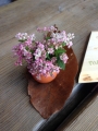 森のカフェ　蕎麦の花