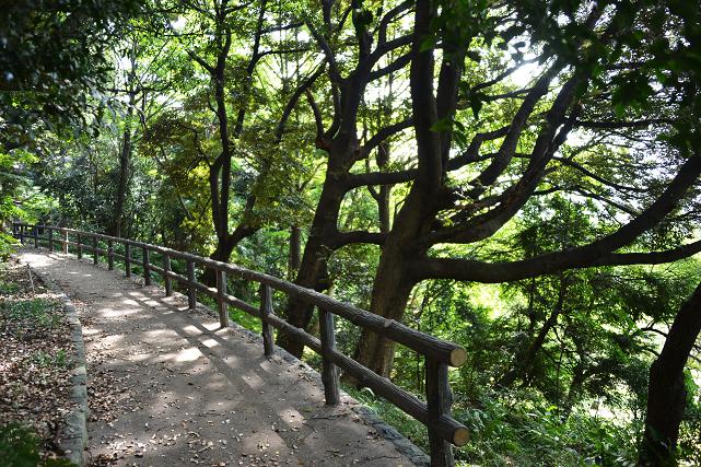 084 小石川植物園