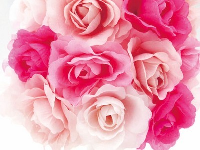fiori pink