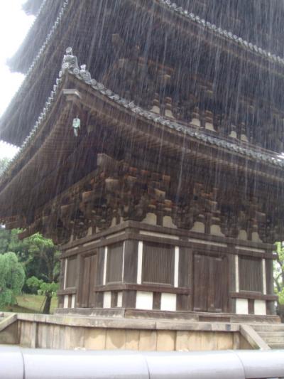 雨の興福寺五重塔