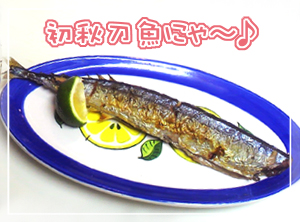 秋刀魚2011103