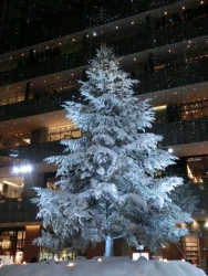 WHITE KITTE Christmas Tree