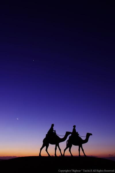 空と星そして駱駝