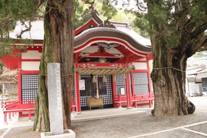 国指定天然記念物「八幡神社のイブキ」