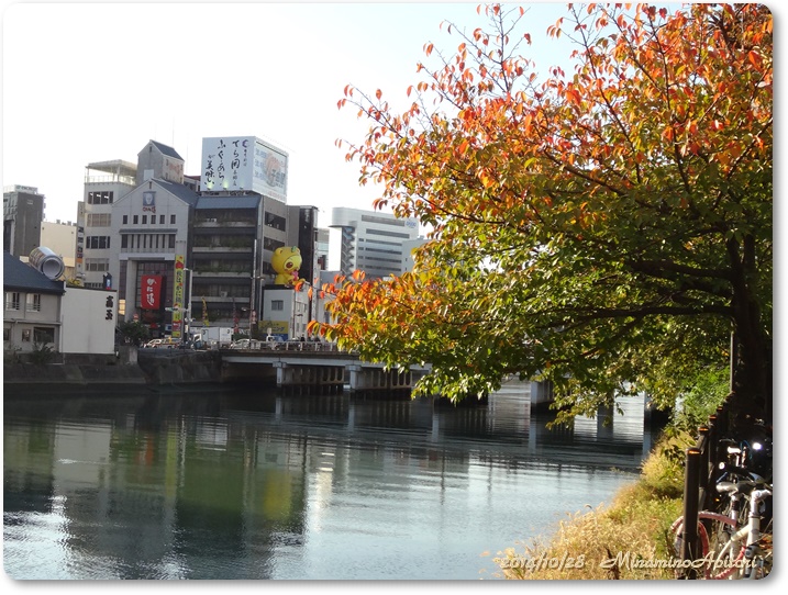 川の向こうに猫？20141028キャナルシティから櫛田神社 (17)