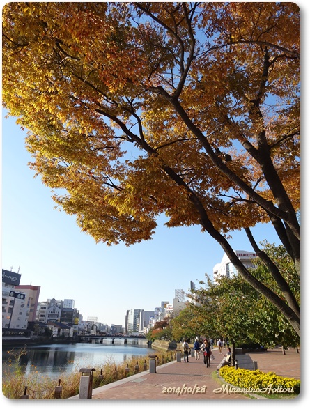 清流公園川沿い20141028キャナルシティから櫛田神社 (5)