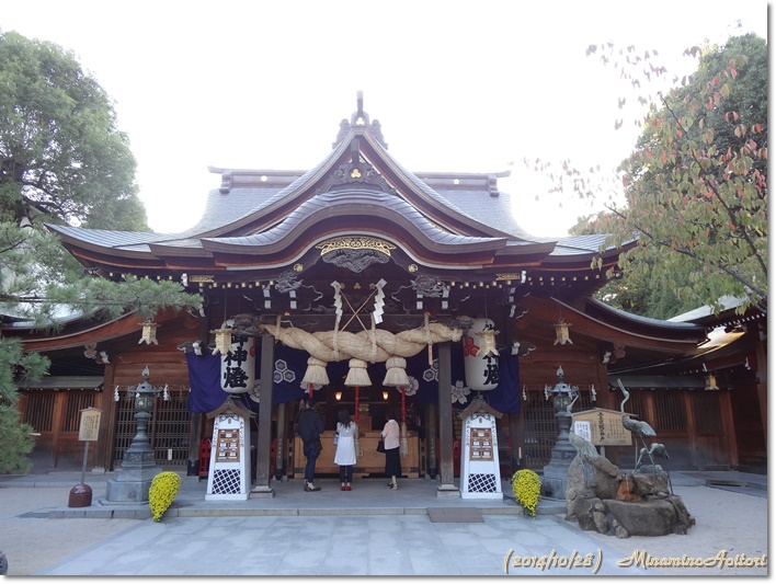 本殿20141028キャナルシティから櫛田神社 (126)