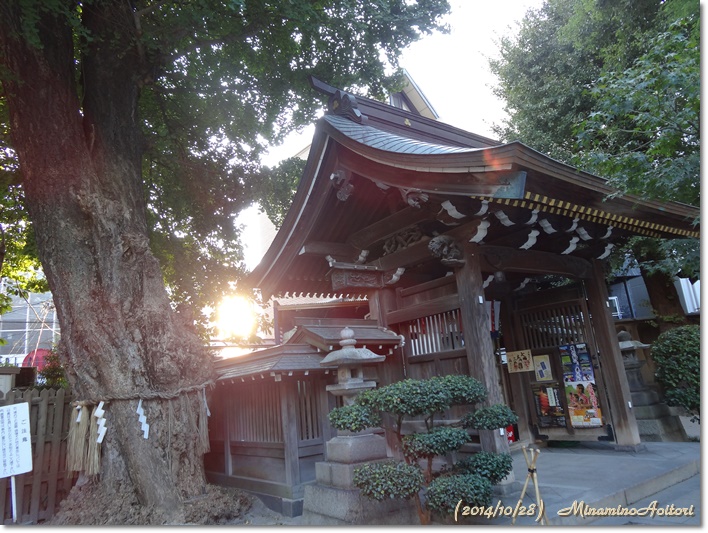 隙間から輝く日20141028キャナルシティから櫛田神社 (113)