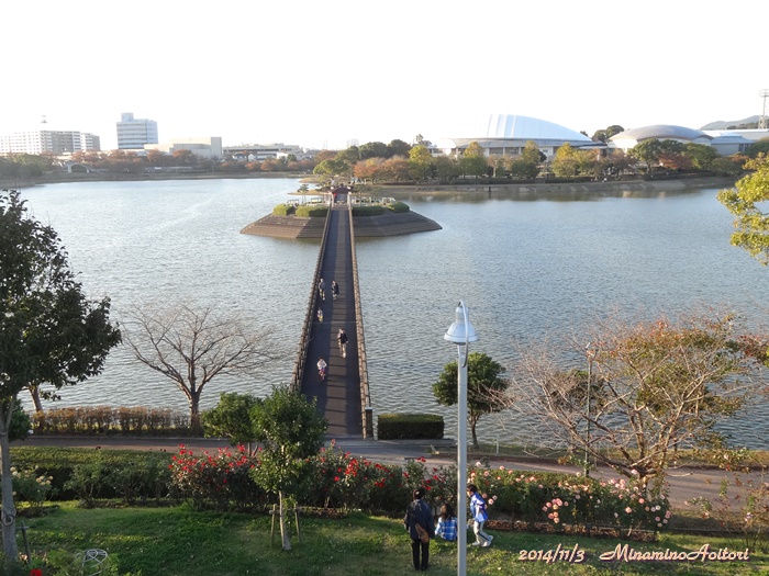 橋上から2014-11-3駕与丁公園 (191)