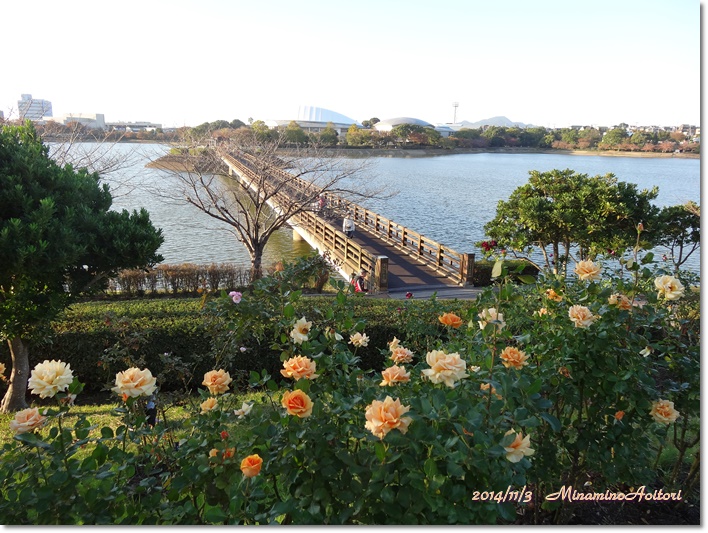 橋とバラ2014-11-3駕与丁公園 (169)