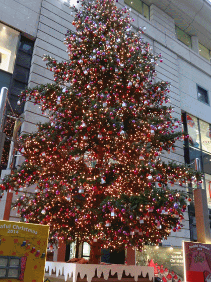 20141105クリスマスツリー(小)