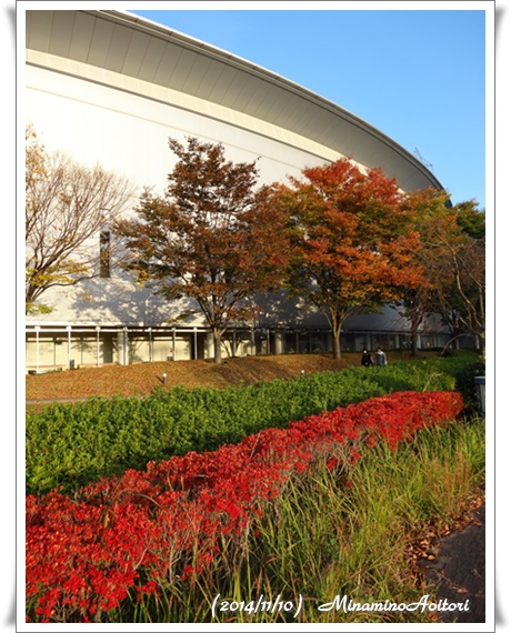 赤緑コントラスト2014-11-10倉吉・三朝温泉・米子 (246)