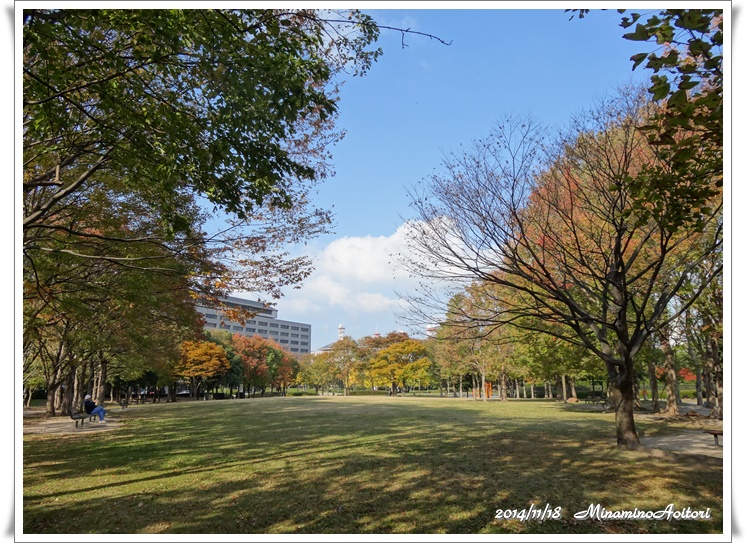 芝生広場2014-11-18九大・東公園 (95)