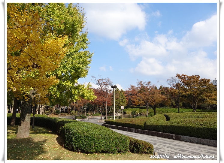 公園全体2014-11-18九大・東公園 (83)