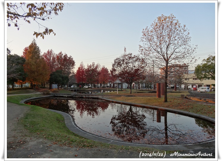 公園全体2014-11-22朝倉 (93)