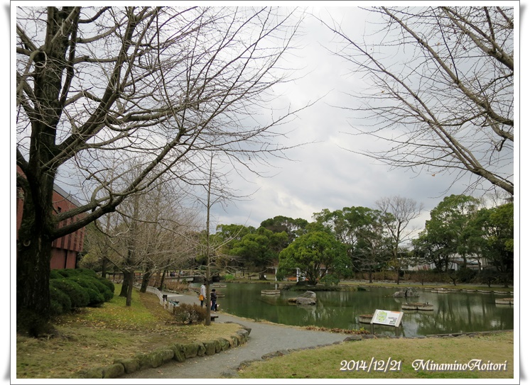 池とイチョウ並木2014-12-21久留米(石橋文化センター) (214)