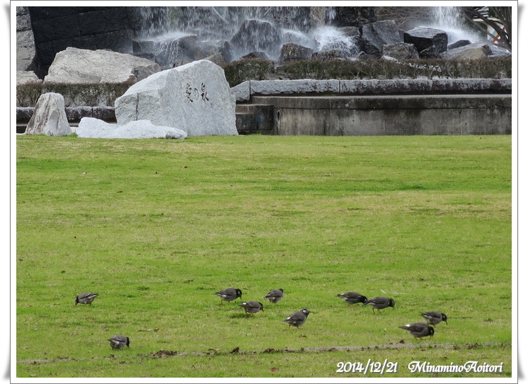 愛の泉と鳥(アップ)2014-12-21久留米(石橋文化センター) (9)