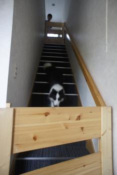 階段上り下り