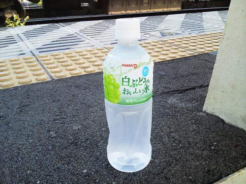 20120723_白ぶどうおいしい水-001