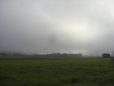 霧の丹波篠山