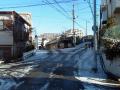 大田区の雪