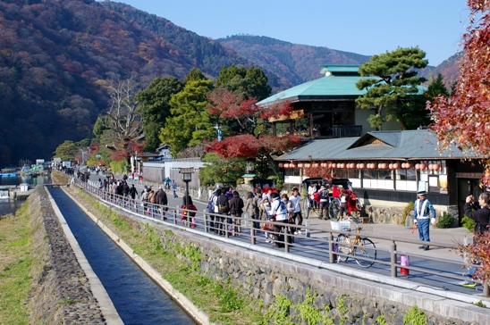 京都嵐山３２２４