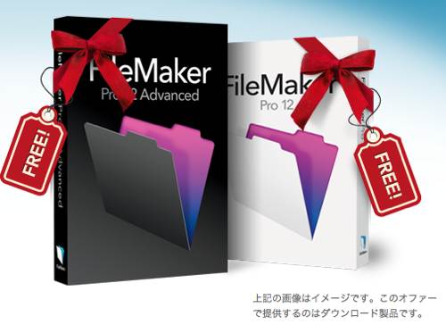 FileMaker12.jpg