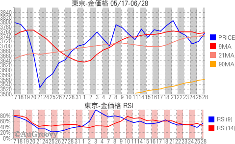 東京市場金価格推移 2010年06月28日