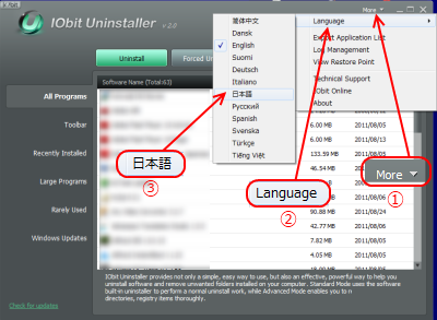 IObitUninstaller 日本語化