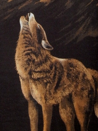wolf 2010 12 5 (1)