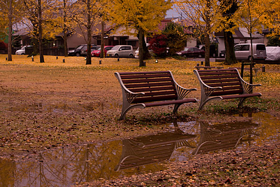 雨に濡れる公園のベンチ