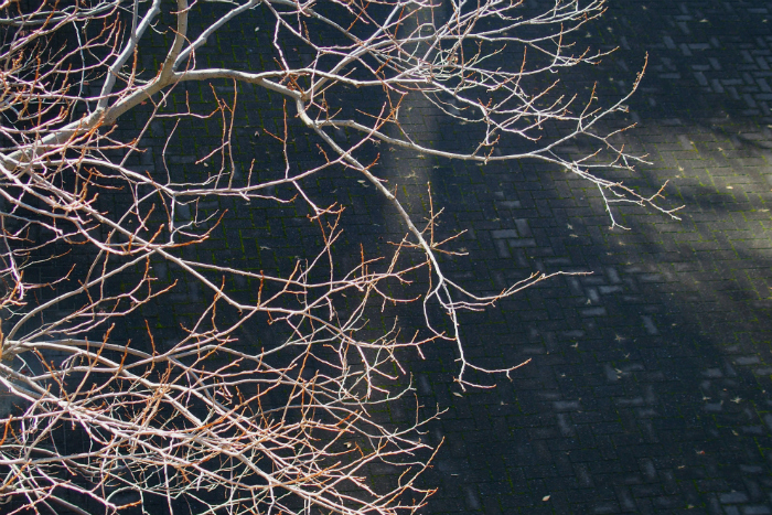 PB301163.jpg