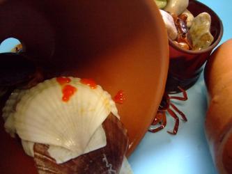 沢蟹ちゃん産卵しました！2011.06.17～正にイクラの小粒版！オレンジ色です！