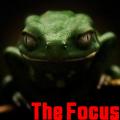 The Focus