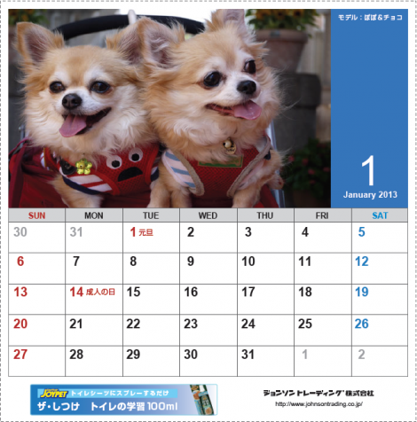 チョコ＆ぽぽカレンダー201301